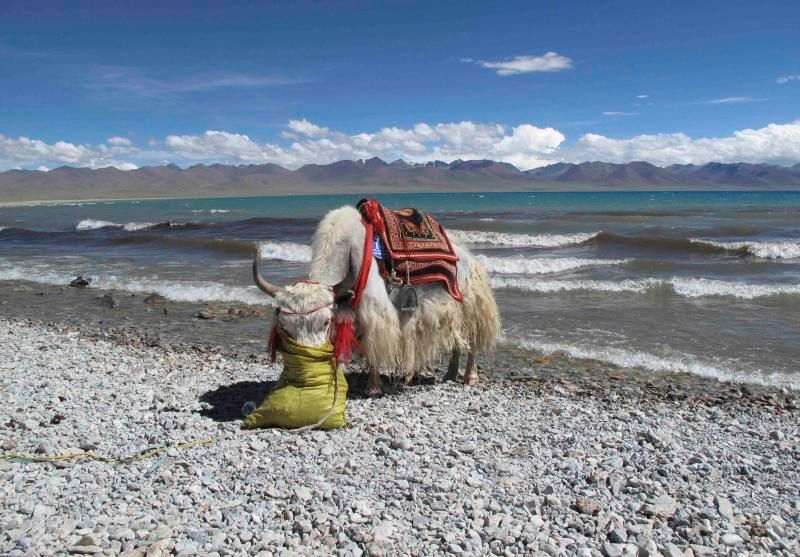 Tibet