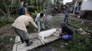 Luis Salgado (2nd R), nicknamed Chucho, takes a picture of his family during a pig slaughter at their home in the village of Sagua La Grande in central Cuba, March 10, 2013. Chucho was granted a U.S. visa based on his father's status as legal resident in Texas, and he was reunited in Miami with his father, Jesus Salgado, who had escaped Cuba on a frail boat ten years earlier. The Salgados are among many Cubans taking advantage of Cuba's new travel policy in place since last January, which allows citizens to leave the country with just a passport and no need for much-hated exit visas required since 1961. Picture taken March 10, 2013. REUTERS/Desmond Boylan (CUBA - Tags: POLITICS SOCIETY) Published: Dub. 11, 2013, 1:34 odp.