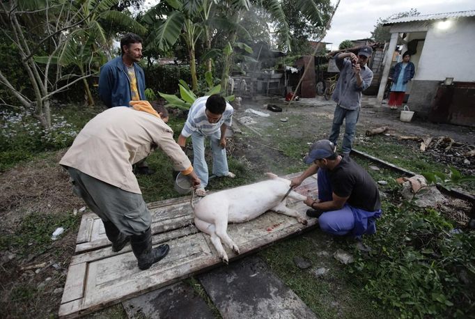 Luis Salgado (2nd R), nicknamed Chucho, takes a picture of his family during a pig slaughter at their home in the village of Sagua La Grande in central Cuba, March 10, 2013. Chucho was granted a U.S. visa based on his father's status as legal resident in Texas, and he was reunited in Miami with his father, Jesus Salgado, who had escaped Cuba on a frail boat ten years earlier. The Salgados are among many Cubans taking advantage of Cuba's new travel policy in place since last January, which allows citizens to leave the country with just a passport and no need for much-hated exit visas required since 1961. Picture taken March 10, 2013. REUTERS/Desmond Boylan (CUBA - Tags: POLITICS SOCIETY) Published: Dub. 11, 2013, 1:34 odp.