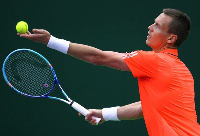 Tomáš Berdych na turnaji v Dauhá 2016