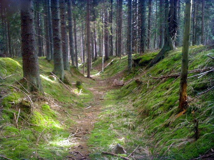 Zlatá stezka na Šumavě. Na snímku z roku 2010 je vidět úsek přibližně 1 km severně od Horské Kvildy.