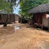 Madagaskar, Nosy Be, lemuři