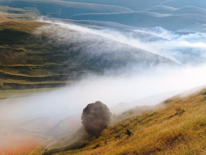 Rozkvetlá letní pole v okolí italské vesnice Castelluccio di Norcia