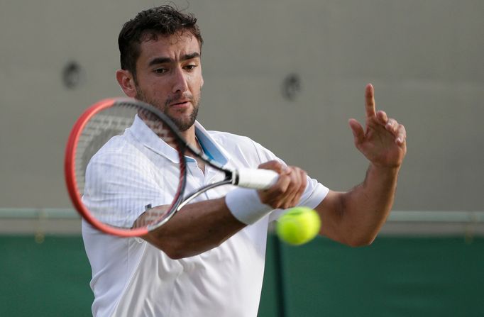 Marin Čilič na Wimbledonu 2014