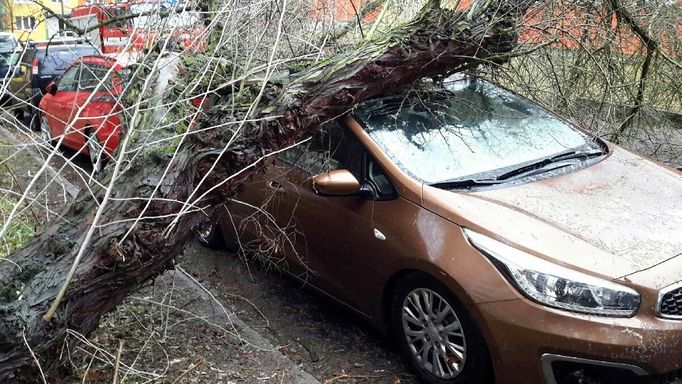 Hasiči likvidovali především spadlé stromy.