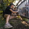 Středoevropské Jamboree skaut
