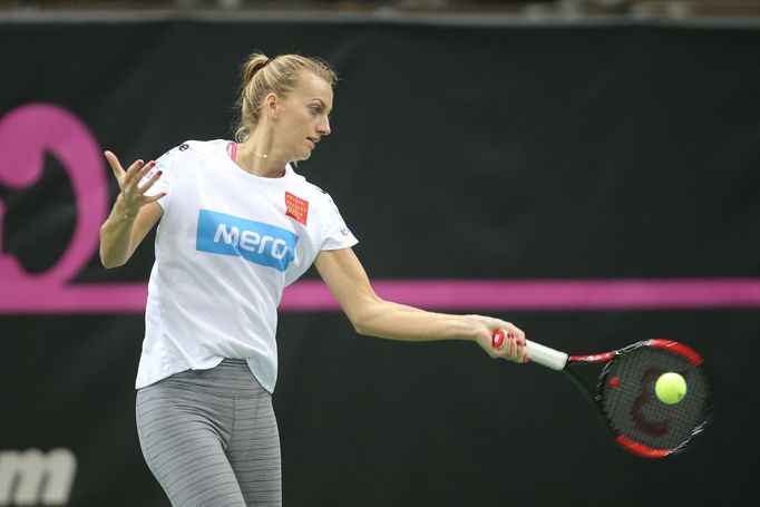 Petra Kvitová před finále Fed Cupu 2018