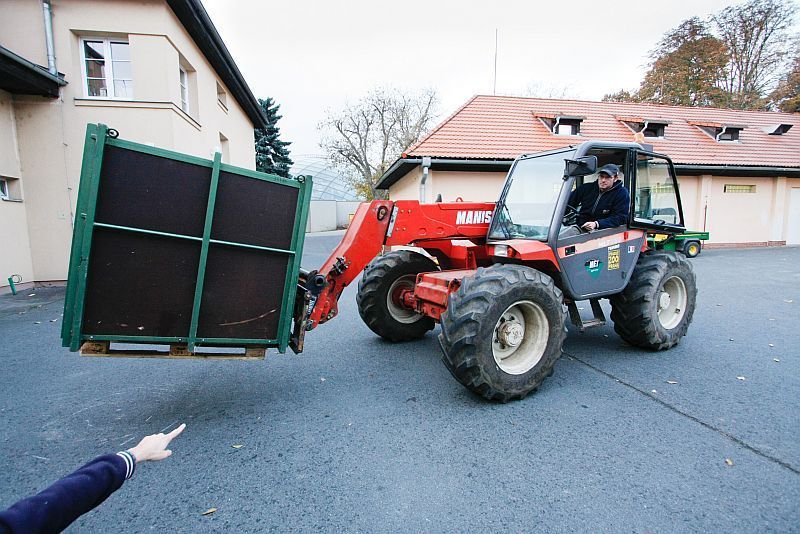 Nový orangutan v pražské zoo