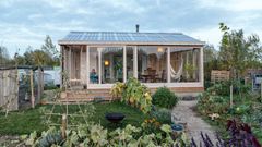 dům, bydlení, příběh, Nizozemka