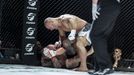 GCF 30: Galavečer MMA (ultimátní zápasy)