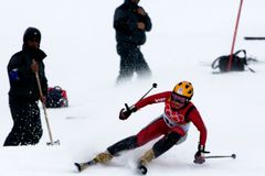 Snowboard Ledeckou brzdí, říká Pešánová. Lynč kvůli komentáři zlaté jízdy ji mrzel