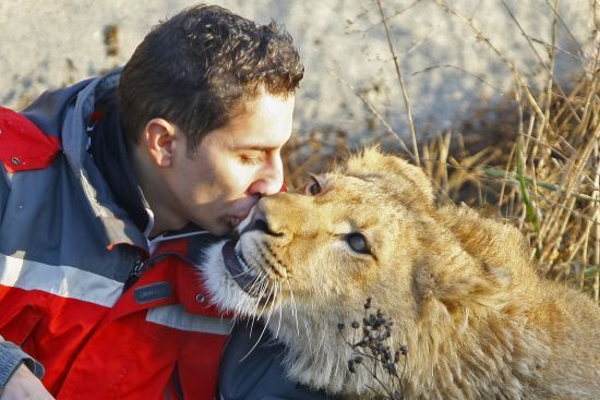 Muž se loučil se svým lvem