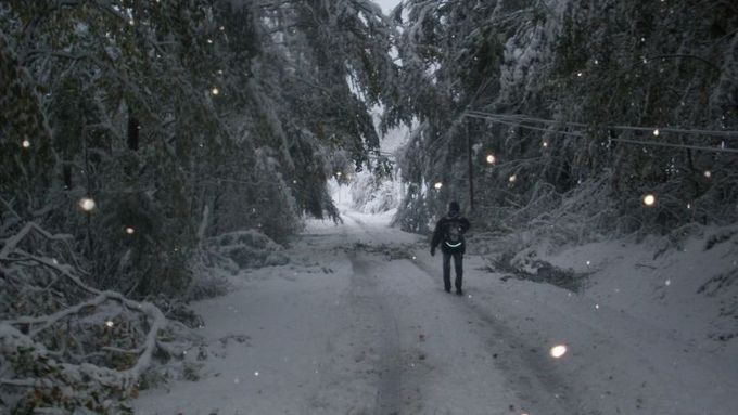 Kalamita na Vsetínsku: Kilometry sněhem podél spadlých stromů i vedení