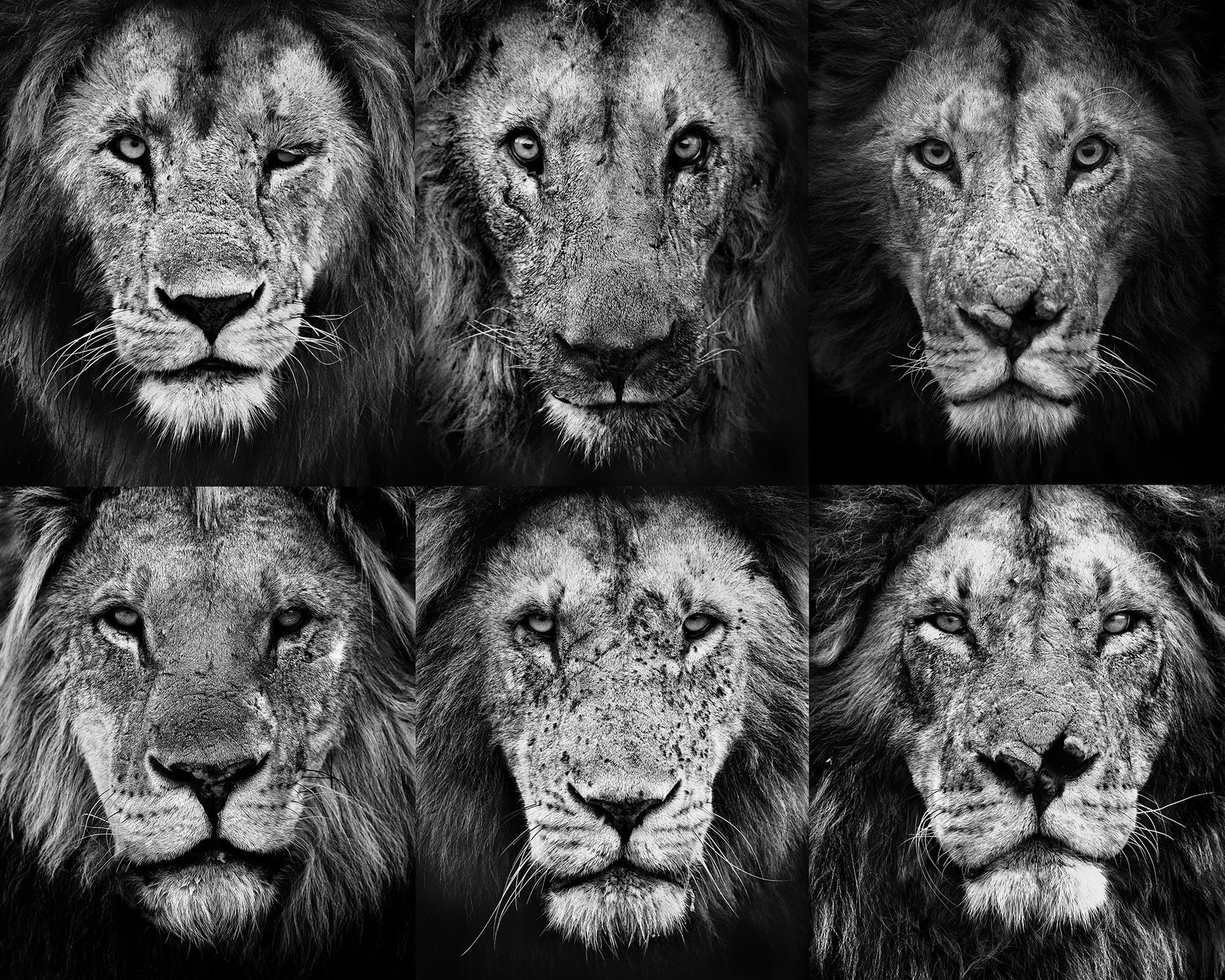 Marina Cano: ukázky z výstavy fotografií v Czech Photo Centre