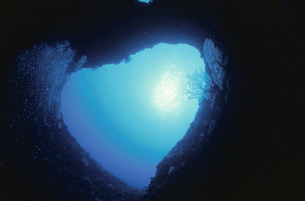 Obrazem: Fascinující podoby symbolu srdce v přírodě