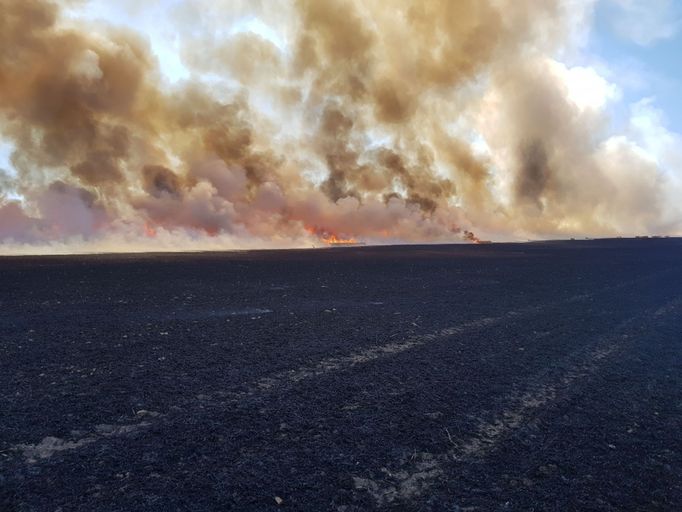 Požár pole nedaleko Nedaleko Úžic na Mělnicku hořelo pole. 3. 7. 2018.