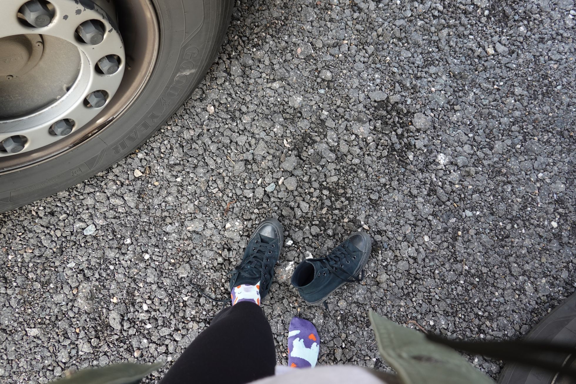 monika sustrova, kamionacka