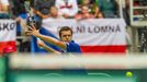 DC, Česko-Francie: Jo-Wilfried Tsonga