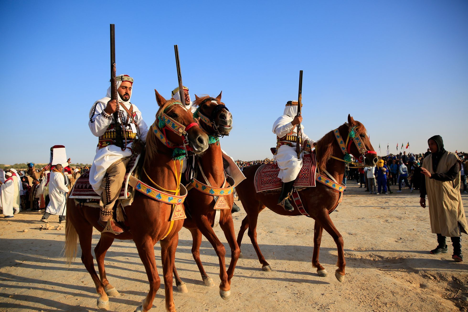 Lucie Steinzová: Sahara festival