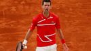 Finále French Open 2020 (Novak Djokovič)