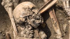 Archeologické vykopávky, Karlín, masový hrob, Vojenský hřbitov Karlín, kosti, archeologie, antropologie