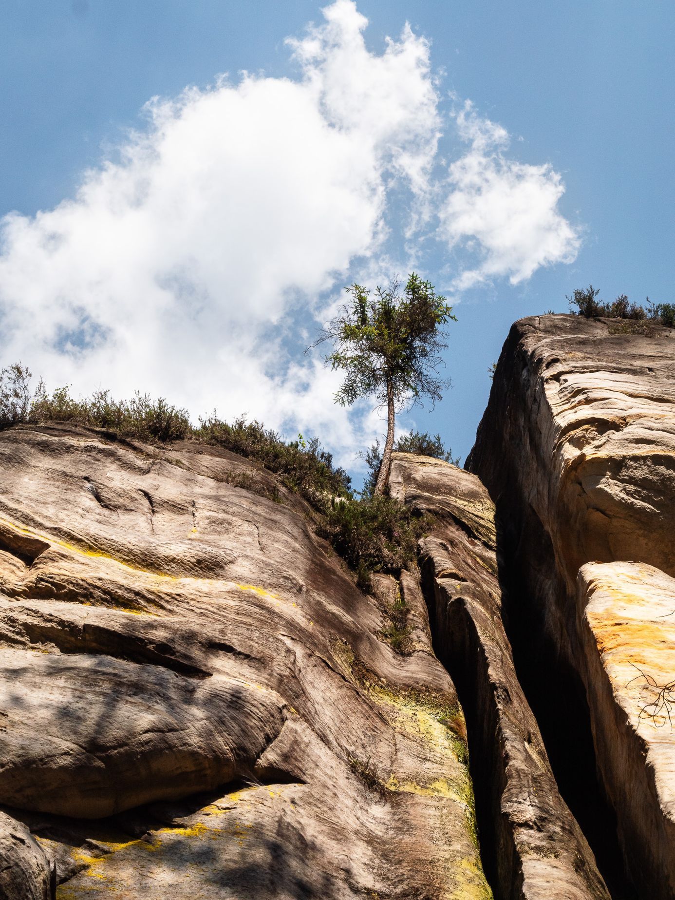 Tomáš Vocelka - Adršpach, léto 2020