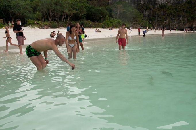 Thajská zátoka Maya Bay, kde turisté pozorují žraloky černoploutvé.