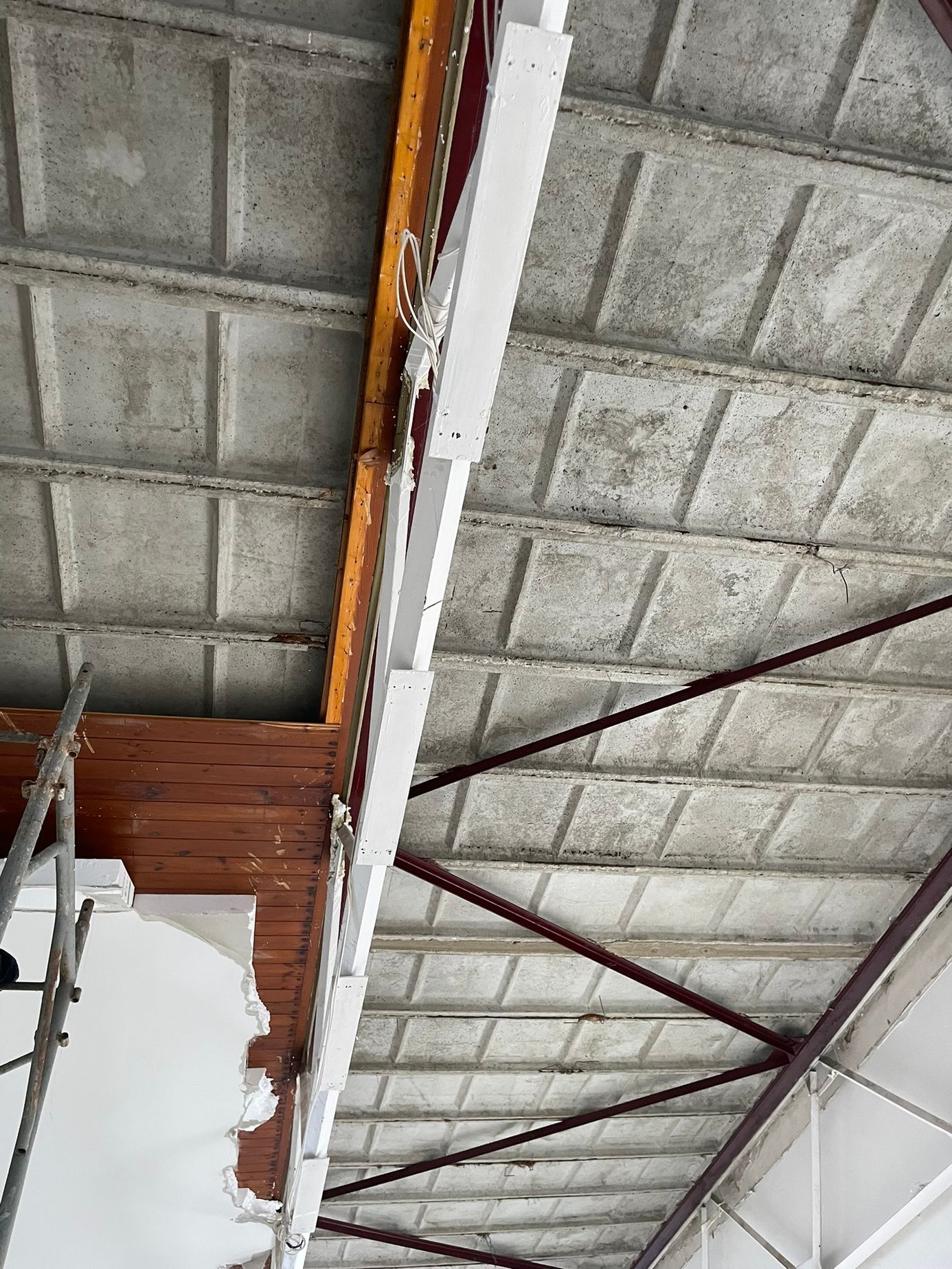 Panelárna, budova, architektura, Holešovice, Praha, ateliér, architekti