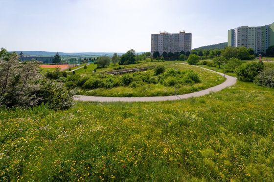 Park Pod Plachtami. Uprostřed panelového sídliště to vypadá jako v přírodní rezervaci.