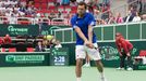 DC, Česko-Francie: Jo-Wilfried Tsonga