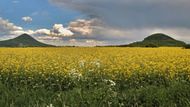 Meteorologové rozeznávají deset základních typů oblaků, které se vyskytují ve třech základních hladinách. Třeba "bílým beránkům na modré obloze" se říká cumulus.