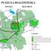 Podrobnější mapa Bialowiežského pralesa a Bialowiežského národního parku