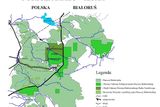 Podrobnější mapa Bialowiežského pralesa a Bialowiežského národního parku. Světlejší zelená je celý park. Nejtmavší zelená je chráněné území národního parku. Černá čára je hranice mezi Polskem a Běloruskem.
