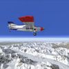 Flight Simulator X