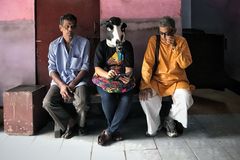 Jsou krávy víc než ženy? Za znásilnění hrozí v Indii 20 let vězení, za zabití zvířete doživotí