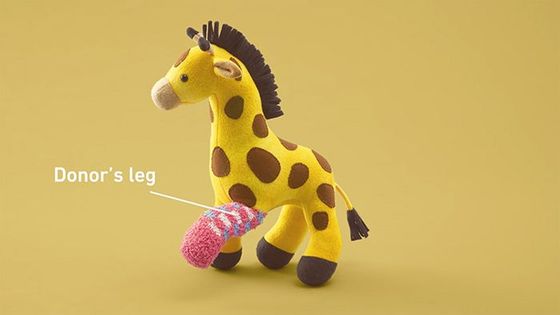Žirafa s opičí rukou míst nohy