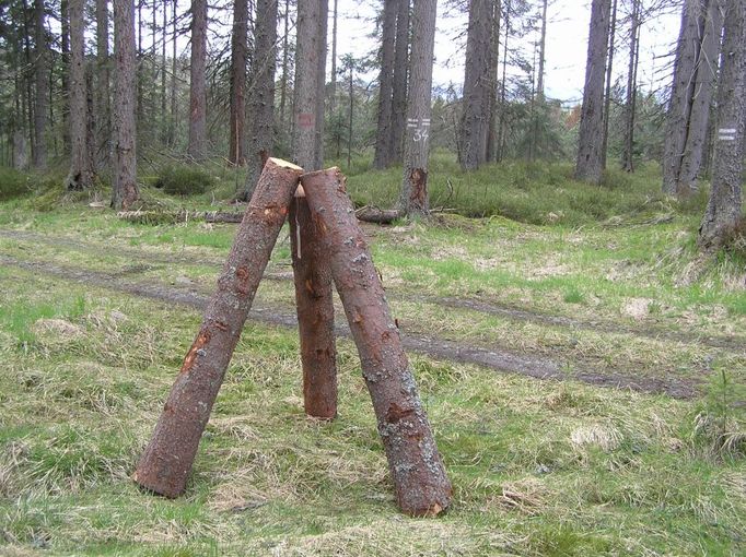 Otrávená trojnožka 50 metrů od Mlynářské slati