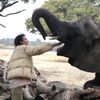 Zimbabwe, slon, útulek, pytláci, záchrana, Wild is Life