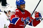 Armstrong, Woods i NHL - Sportovní svět pomáhá Haiti