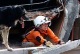 Do oblasti přijeli pomáhat dobrovolníci z celého světa. Na snímku Němka Bighy se svým psem.