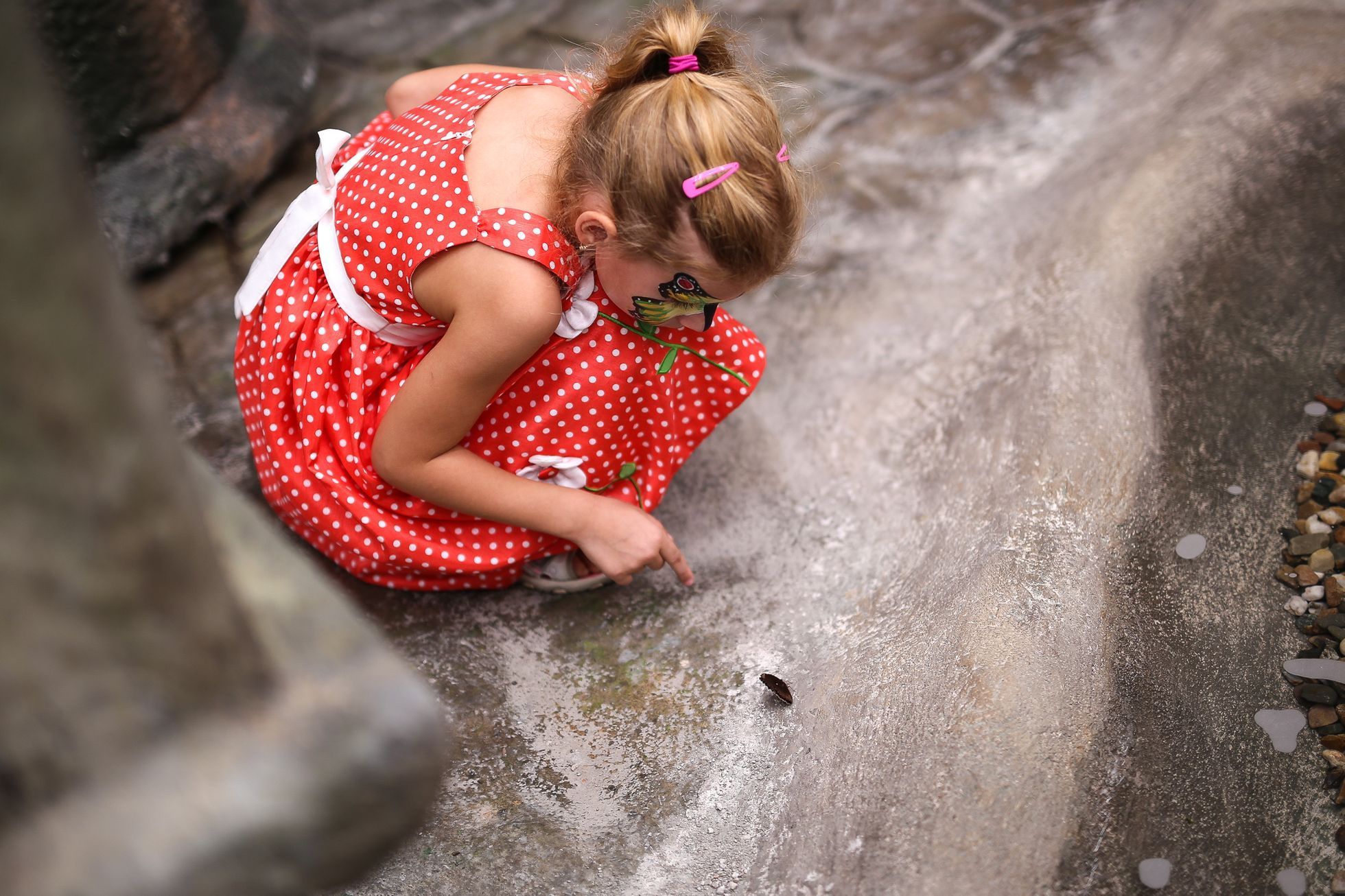 Motýlí dům v Praze v hračkářství Hamleys
