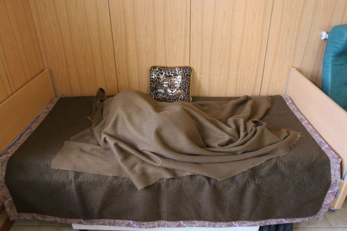 Ludvík Hradílek - Postel místo života