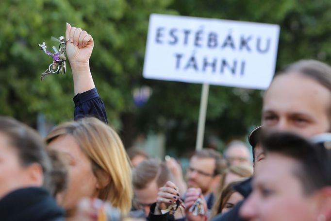 Demonstrace na Václavském náměstí.