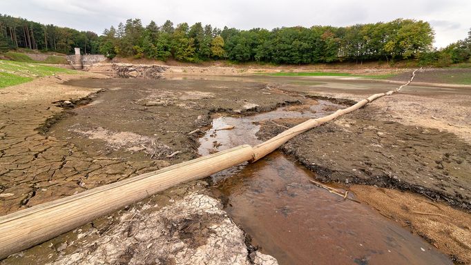 České sucho v obrazech: Vyschlá přehrada Pařížov a slunečnice spálené sluncem