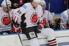 Hradec odevzdal KHL dokumenty. Čeká se na verdikt svazu