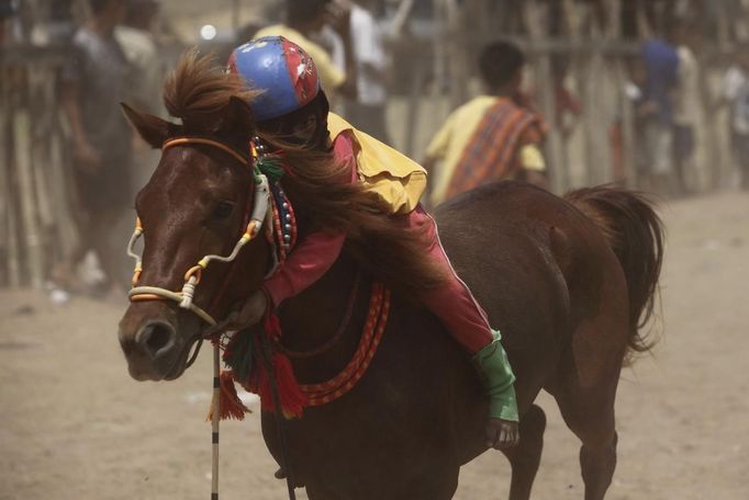 A child jockey hugs his horse after finishing a race at Panda racetrack outside Bima, November 18, 2012. Dozens of child jockeys, some as young as eight-years-old take part in the races. Involving nearly 600 horses they take place around a dusty, oval track of 1,400 meters (nearly one mile). The reward, for the winner is a handful of cash for his family, and glory for the jockey. The grand prize is one million rupiah ($100). Those who win their groups get two cows. The chairman of the races' organising team, Hajji Sukri, denies that there is any danger to the children saying they are all skilful riders and none has been killed or seriously hurt. Picture taken November 18, 2012. REUTERS/Beawiharta (INDONESIA - Tags: SPORT SOCIETY) ATTENTION EDITORS: PICTURE 17 of 25 FOR PACKAGE 'BETTING ON CHILD JOCKEYS' Published: Lis. 24, 2012, 9:16 dop.