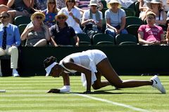 Wimbledon 2018, první den (Venus Williamsová)