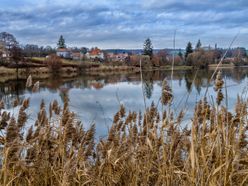 morava, žena