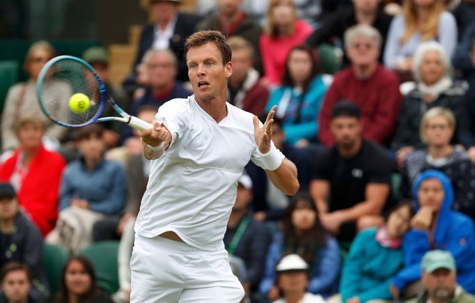 Tomáš Berdych na Wimbledonu 2016