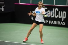 Fed Cup 2017: Česko - Španělsko, Lucie Šafářová
